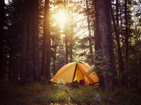 Best of the West: Outdoor rec boosts local economies; Govs talk energy; Sta...