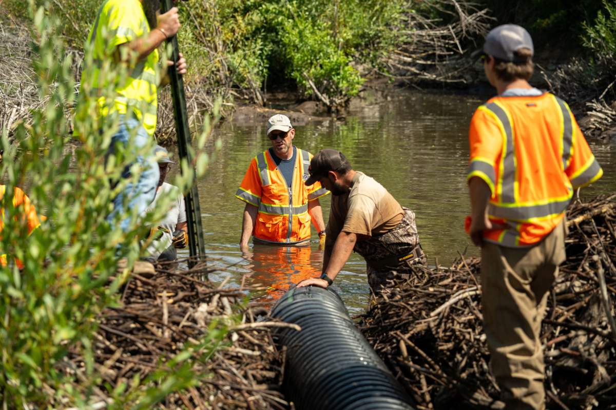 Best of the West: Protecting Western Wildlife, Investment in Rural Health C...